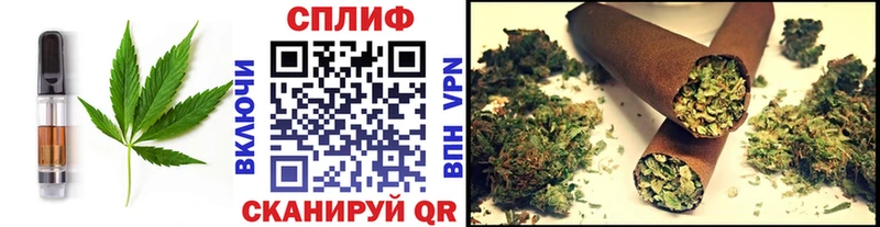 Купить закладки  Высоковск  Cannafood марихуана 