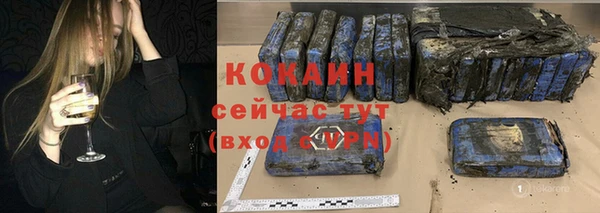 индика Костерёво