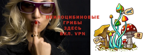 мдпв Корсаков