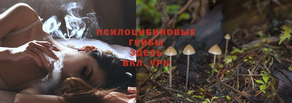 индика Костерёво