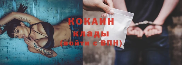 индика Костерёво