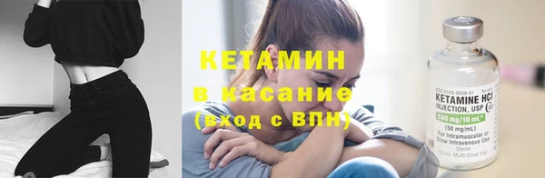 индика Костерёво