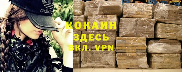индика Костерёво
