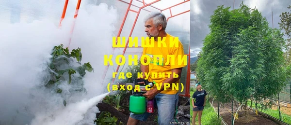 индика Костерёво