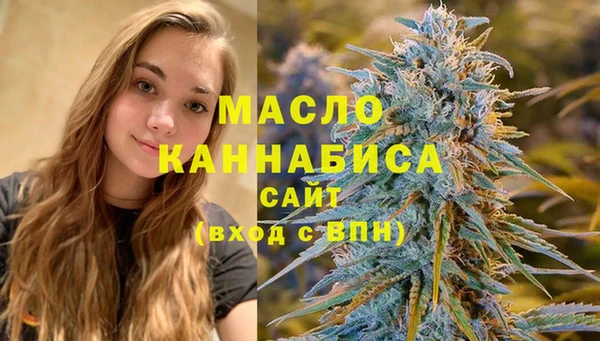 индика Костерёво