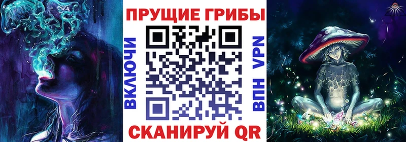 Купить  Высоковск  Псилоцибиновые грибы прущие грибы 